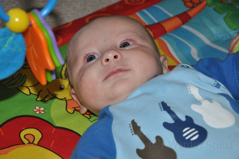 William's Tenth Week 18.jpg